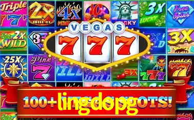 Interface Premium lingdopg